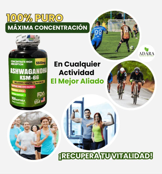 ASHWAGANDHA 100 SOFTGEL – ORIGINAL AMERICANA